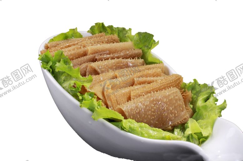 编号：49957309101132315305【酷图网】源文件下载-毛肚素材