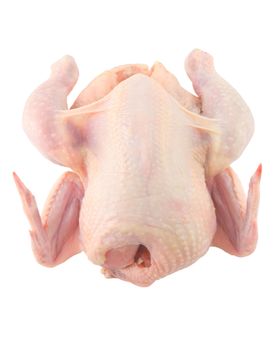 鸡肉