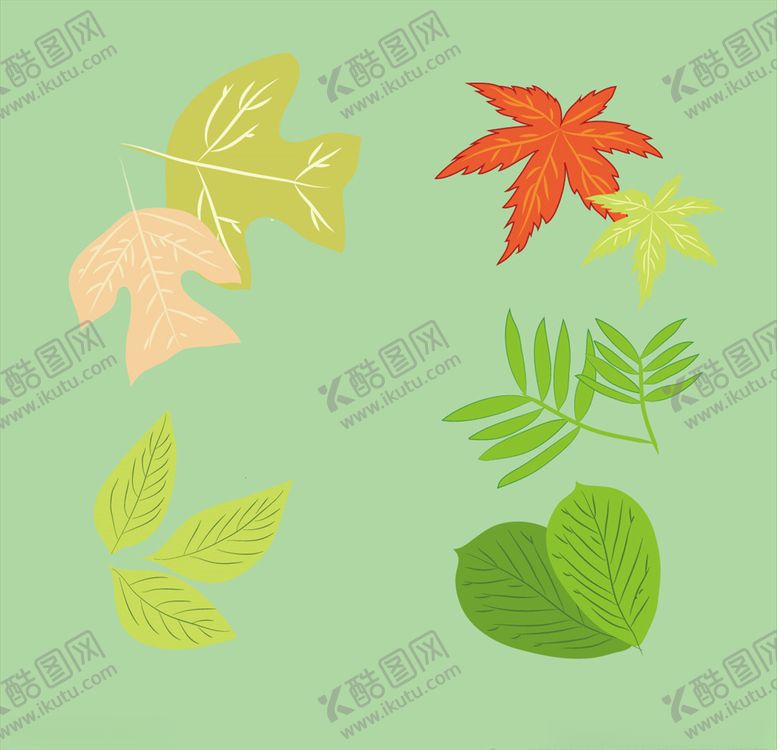 编号：99311609261014172331【酷图网】源文件下载-树叶
