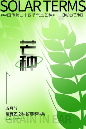 芒种海报背景素材朋友圈文案成熟的小麦农作物