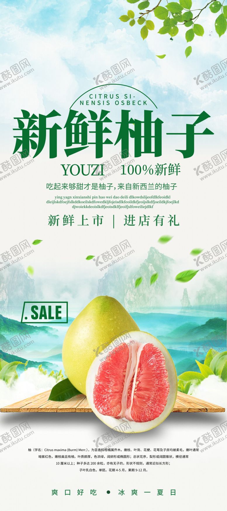 编号：12789707140749067348【酷图网】源文件下载-柚子