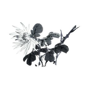菊花素材重阳节重阳节毛笔画