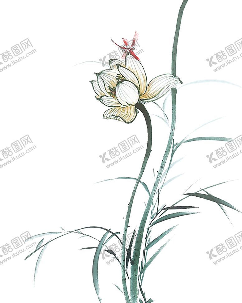 编号：10881110202158249942【酷图网】源文件下载-水墨荷花粉色荷花荷花意境