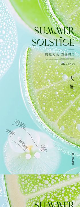 大暑处暑24节气水果海报