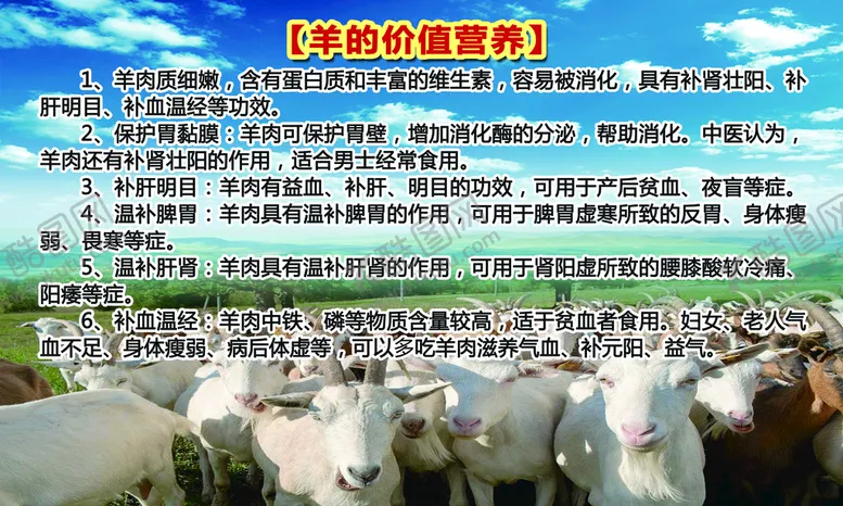 编号：46092309220009346104【酷图网】源文件下载-羊肉