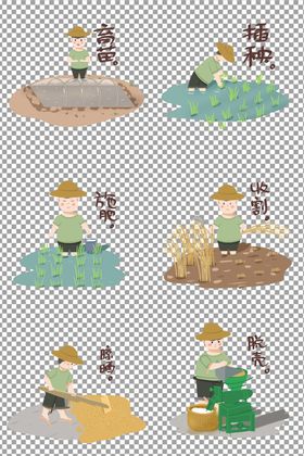 从一粒种子到一颗米饭