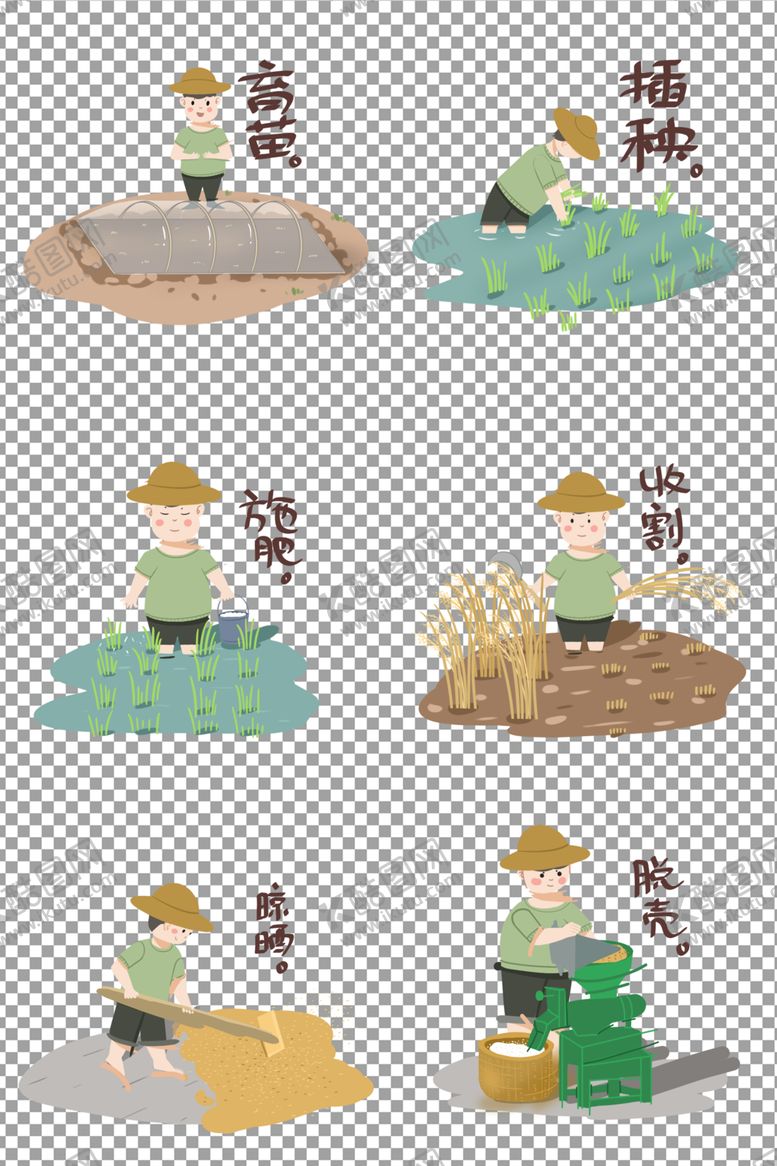 编号：69086010311008593552【酷图网】源文件下载-从一粒种子到一颗米饭