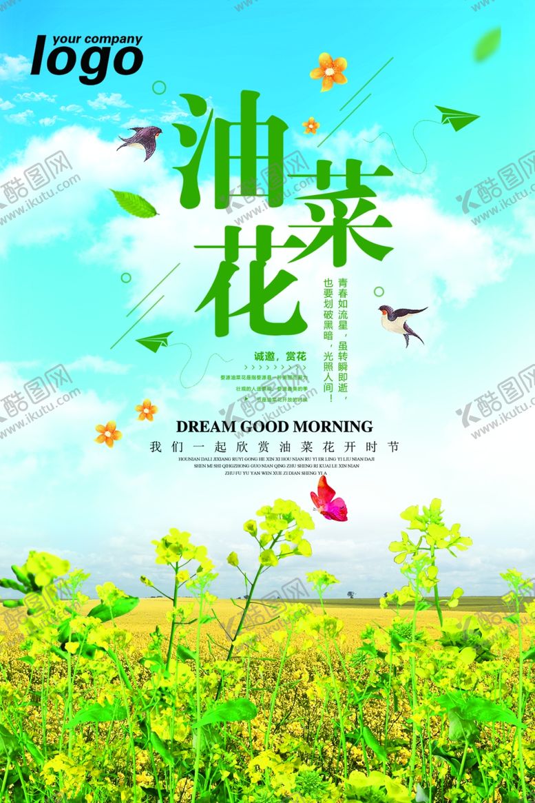 编号：48676710140937012803【酷图网】源文件下载-油菜花