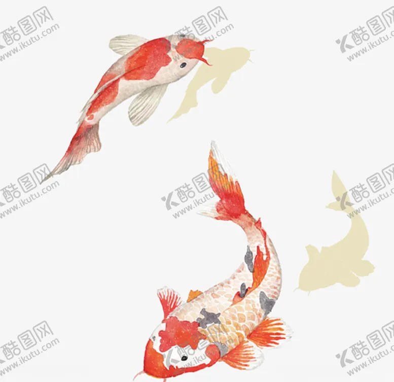 编号：57891804192016068176【酷图网】源文件下载-锦鲤