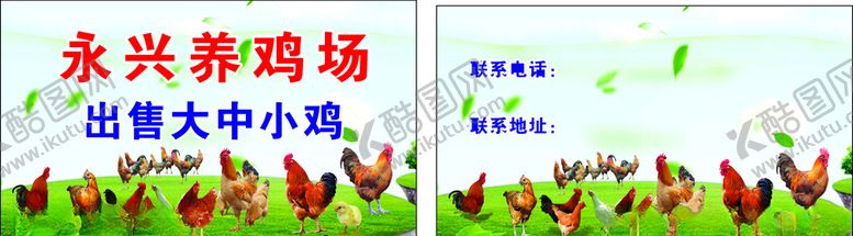 编号：46056910161452464171【酷图网】源文件下载-养鸡厂名片