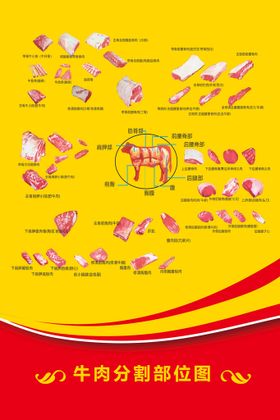 牛肉分割桌牌