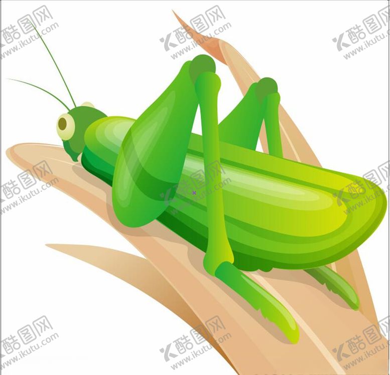 编号：81123707132111412849【酷图网】源文件下载-卡通蚱蜢