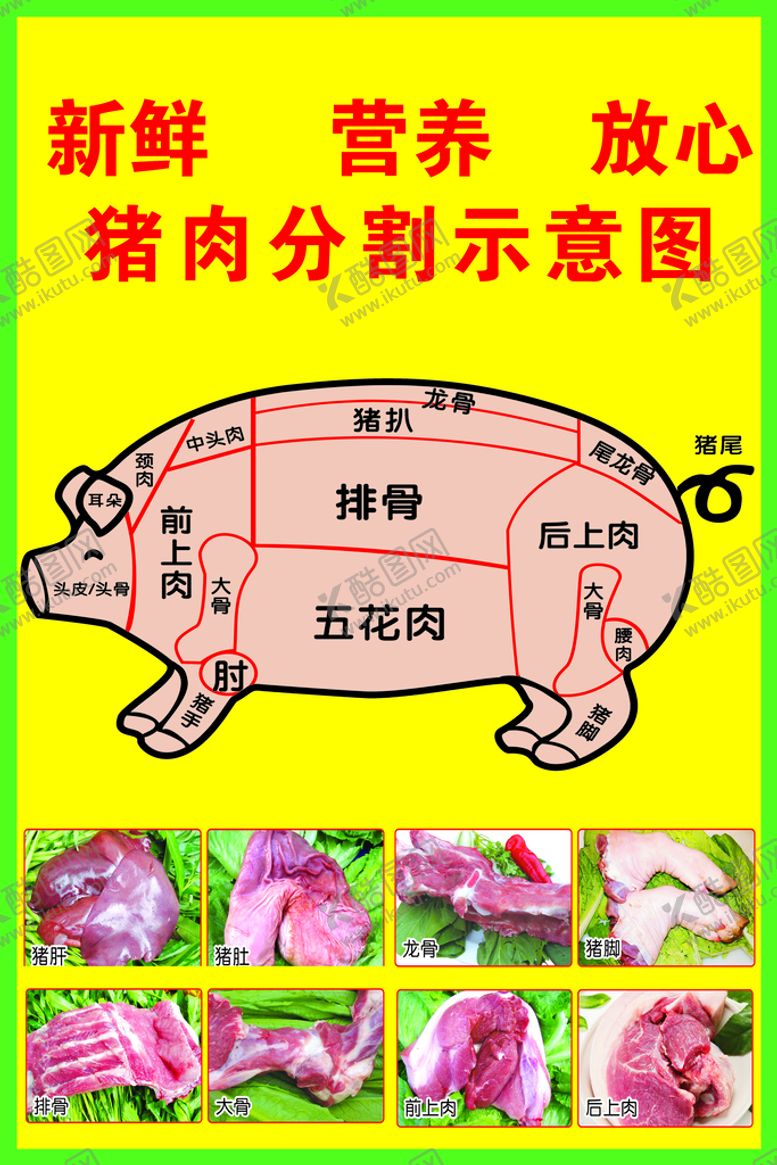 编号：83617009151139265862【酷图网】源文件下载-猪肉分割图
