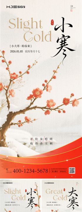 二十四节气大寒小寒海报