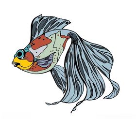 金鱼类矢量海洋