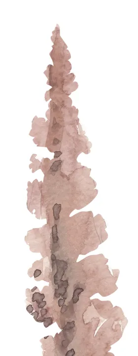 北欧小清新水彩植物图案