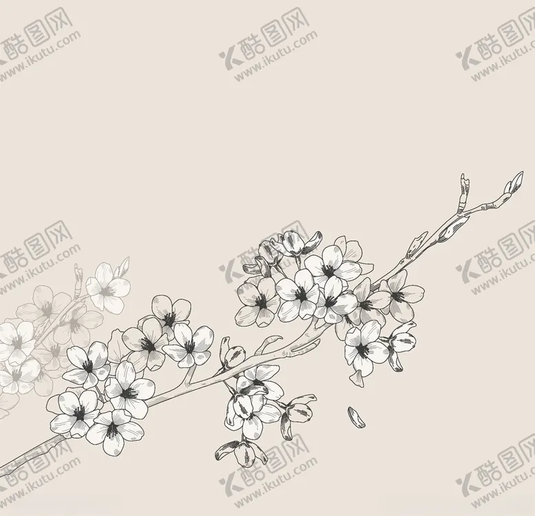 编号：46999106281753088586【酷图网】源文件下载-樱花