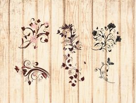 花纹