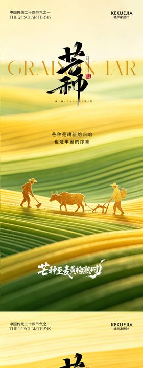 创意海报24节气芒种海报