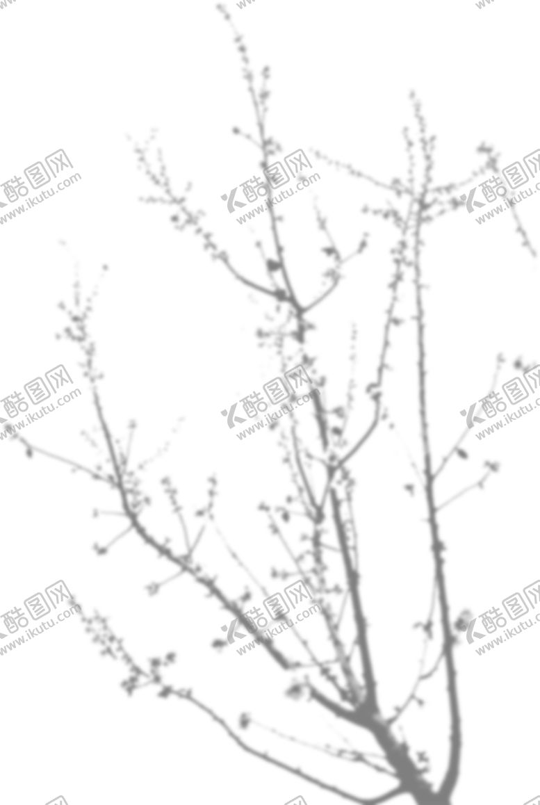 编号：50700805071427582489【酷图网】源文件下载-树影