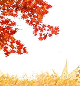 秋天素材
