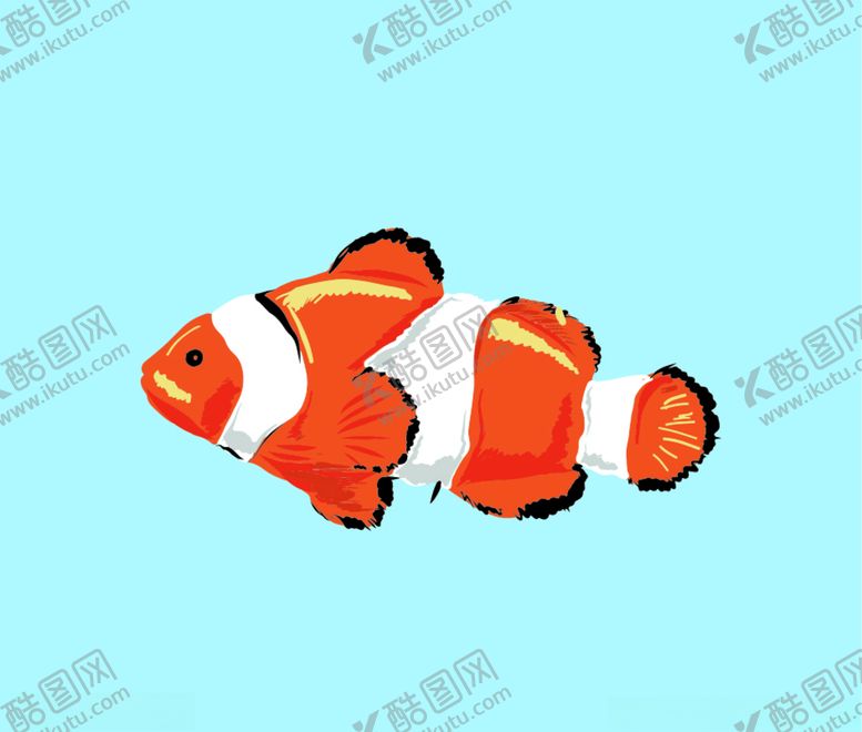 编号：71152707072000257439【酷图网】源文件下载-小丑鱼