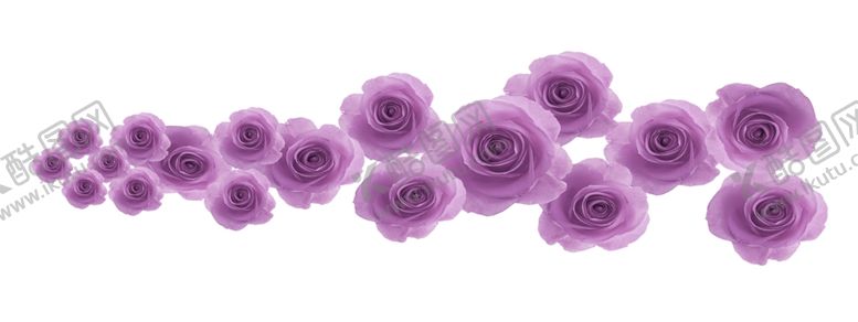 编号：56426509210041153775【酷图网】源文件下载-玫瑰花