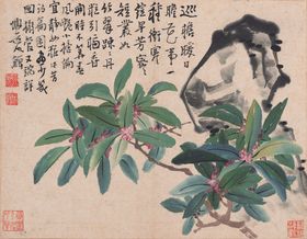花鸟工笔画图案