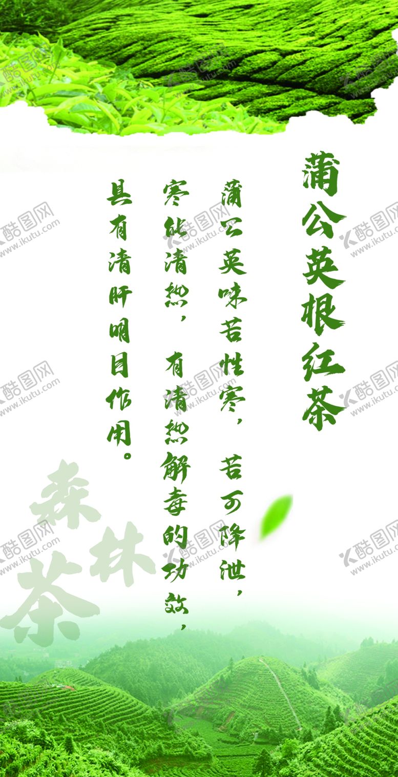 编号：52869802190458409330【酷图网】源文件下载-森林茶蒲公英根红茶