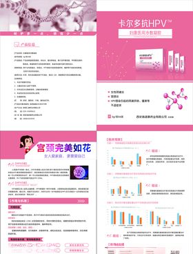 女性折页