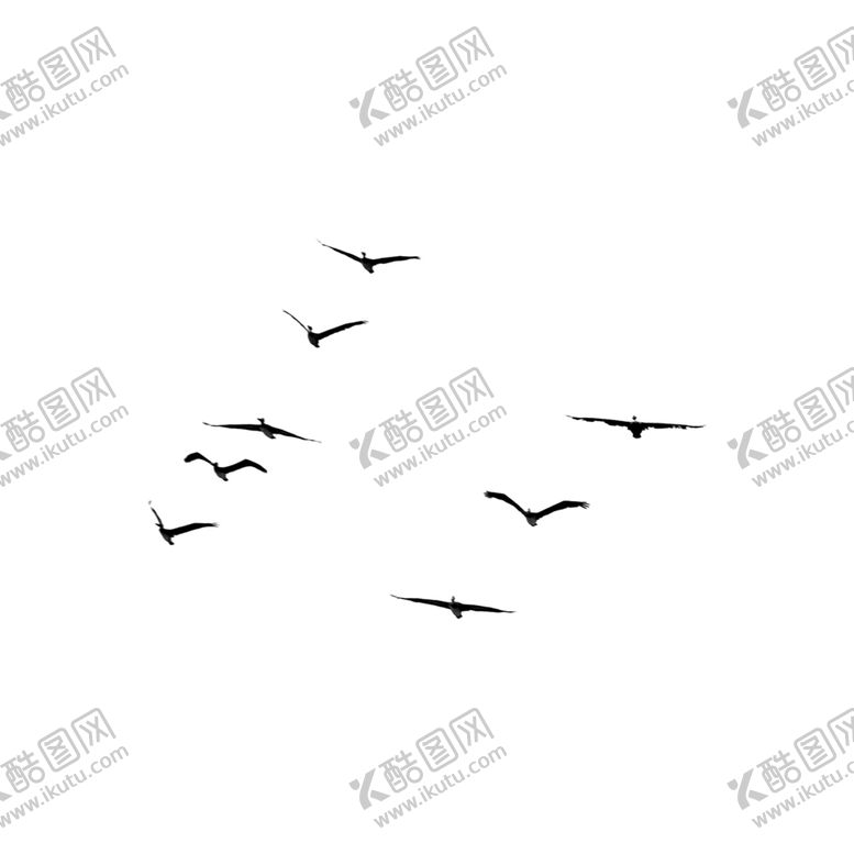 编号：57916207031024532596【酷图网】源文件下载-鸟免抠图